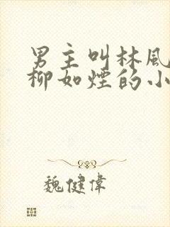 男主叫林风女主柳如烟的小说