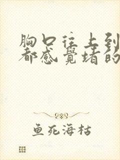 胸口往上到嗓子都感觉堵的难受