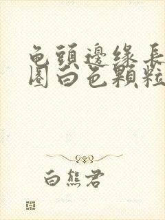 龟头边缘长了一圈白色颗粒