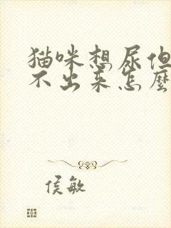 猫咪想尿但是尿不出来怎么办