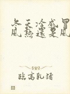 冬天冷感冒了是风热还是风寒