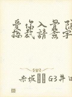 爱你入骨 隐婚总裁请签字