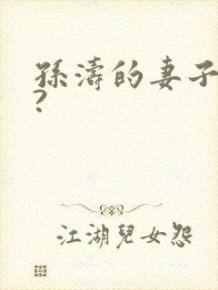 孙涛的妻子是谁?封面