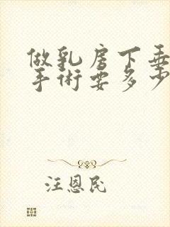 做乳房下垂矫正手术要多少钱