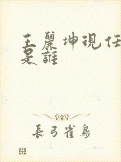 王丽坤现任丈夫是谁