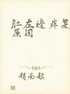 肚左边疼是什么原因