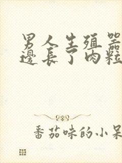 男人生殖器口旁边长了肉粒