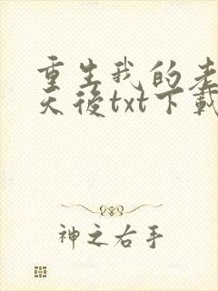 重生我的老婆是天后txt下载