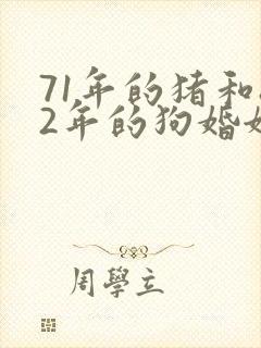 71年的猪和82年的狗婚姻怎么样