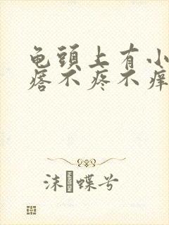 龟头上有小红疙瘩不疼不痒的封面