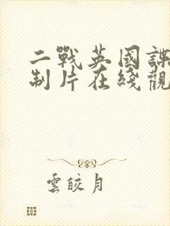 二战英国谍战译制片在线观看