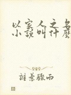 以家人之名原著小说叫什么名字