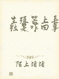 生殖器上长小肉粒是咋回事