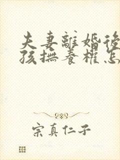 夫妻离婚后两小孩抚养权怎争取