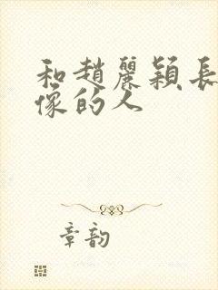 和赵丽颖长得最像的人