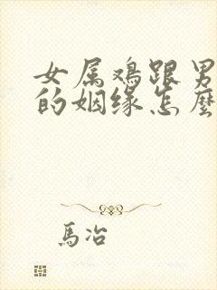 女属鸡跟男属猪的姻缘怎么样封面