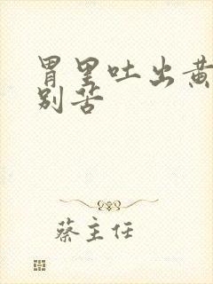 胃里吐出黄水特别苦