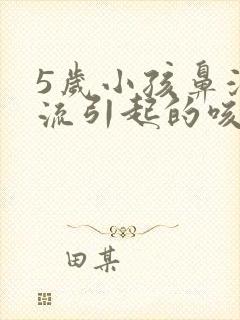 5岁小孩鼻涕倒流引起的咳嗽有什么药