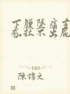 下腹坠痛有排便感拉不出屁多