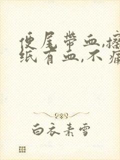 便尾带血,擦手纸有血,不痛封面