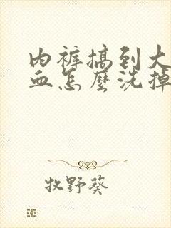 内裤搞到大姨妈血怎么洗掉