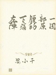 左下腹部一阵一阵痛的原因封面