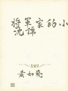 将军家的小娘子 沈锦