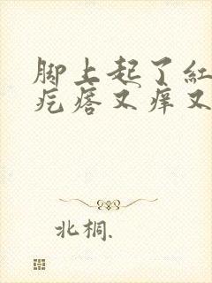 脚上起了红色的疙瘩又痒又疼