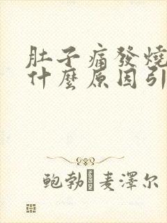 肚子痛发烧呕吐什么原因引起的