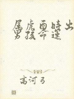 属虎酉时出生的男孩命运