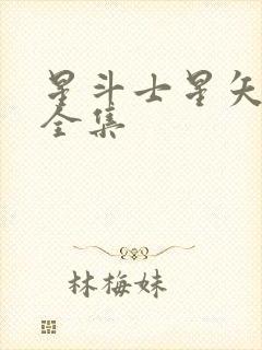 星斗士星矢国语全集封面