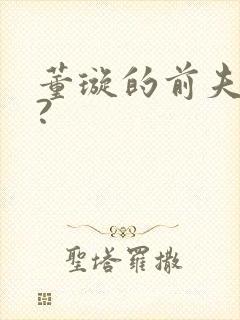 董璇的前夫是谁?