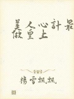 美人心计最后谁做皇上封面