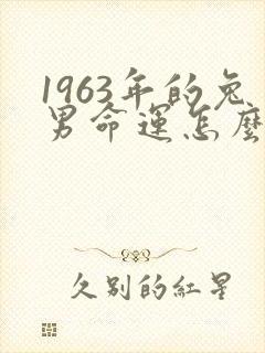 1963年的兔男命运怎么样封面