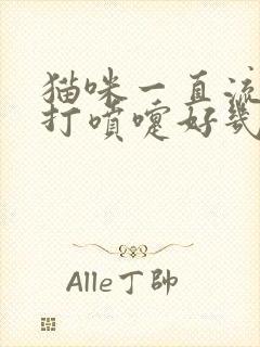 猫咪一直流鼻涕打喷嚏好几个月了