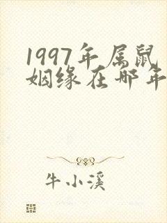 1997年属鼠姻缘在哪年