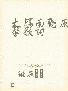 大雁南飞原唱王馨歌词封面