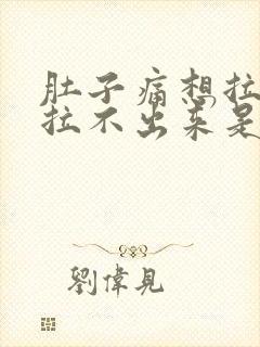 肚子痛想拉屎又拉不出来是什么原因