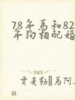 78年马和82年狗相配婚姻如何