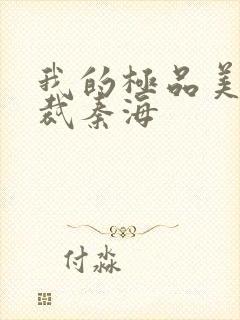 我的极品美女总裁秦海