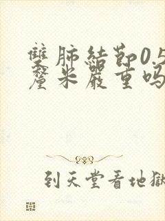 双肺结节0.5厘米严重吗