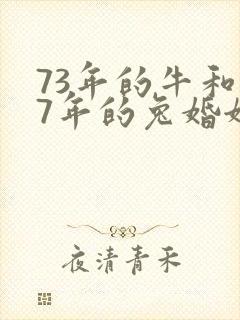 73年的牛和87年的兔婚姻怎么样