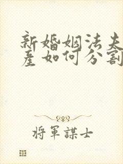 新婚姻法夫妻财产如何分割