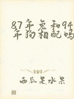 87年兔和94年狗相配吗