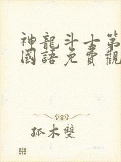 神龙斗士第一部国语免费观看