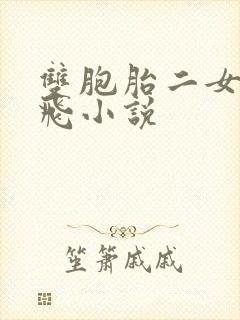 双胞胎二女玩双飞小说