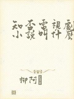 知否电视剧原著小说叫什么名字