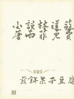 小说林道苏沛真唐雨菲免费阅读