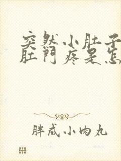 突然小肚子连着肛门疼是怎么回事