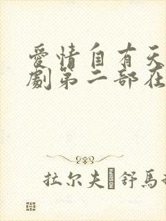 爱情自有天意短剧第二部在线观看